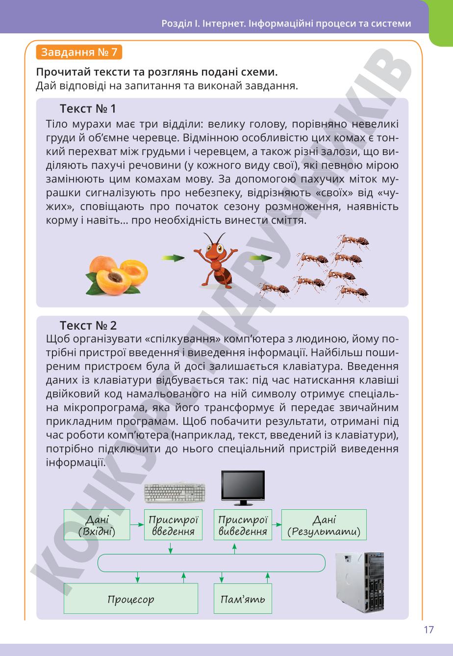 Мініатюра 17