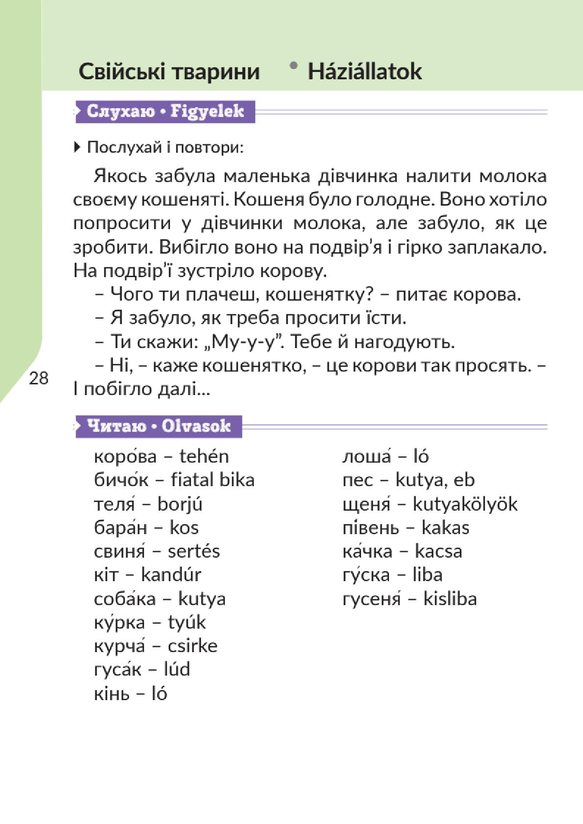 Мініатюра 28