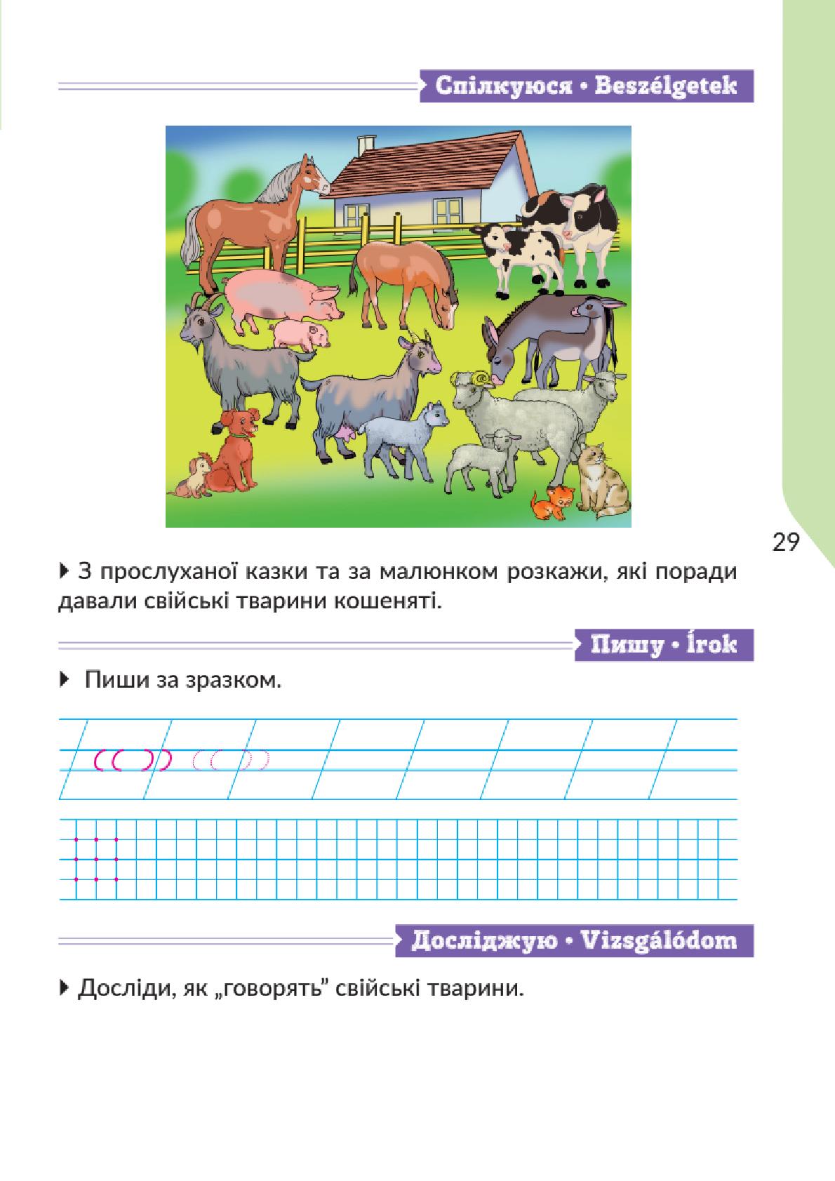 Мініатюра 29