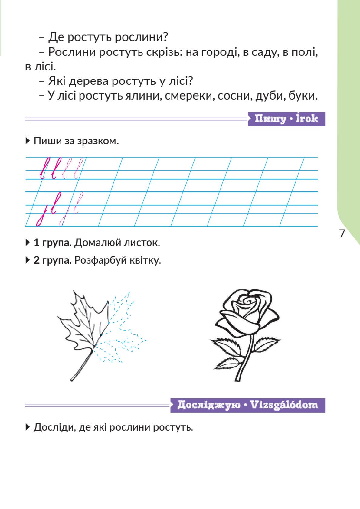 Мініатюра 7
