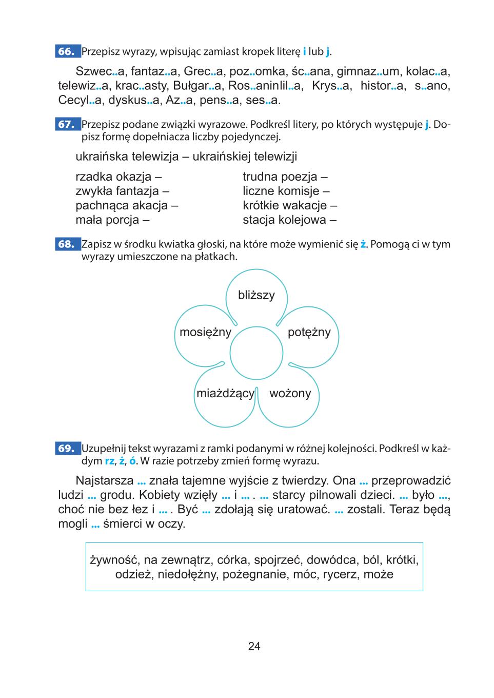 Мініатюра 24