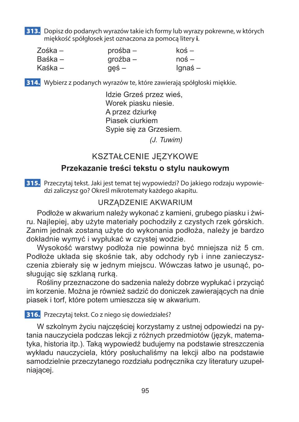 Мініатюра 95