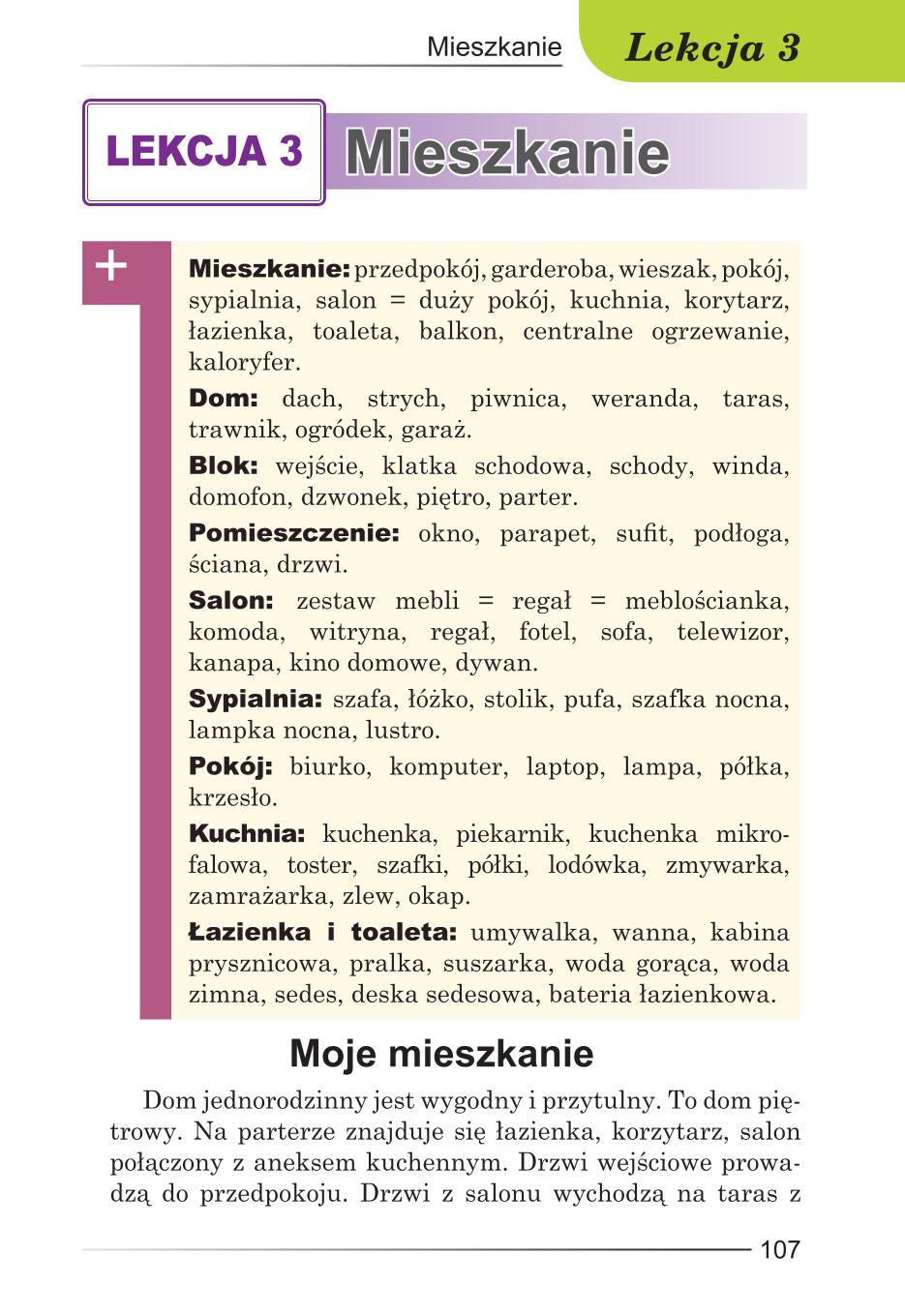 Мініатюра 107
