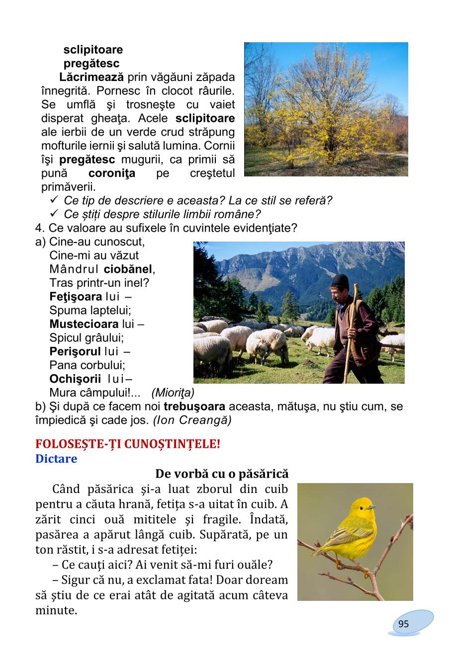 Мініатюра 95