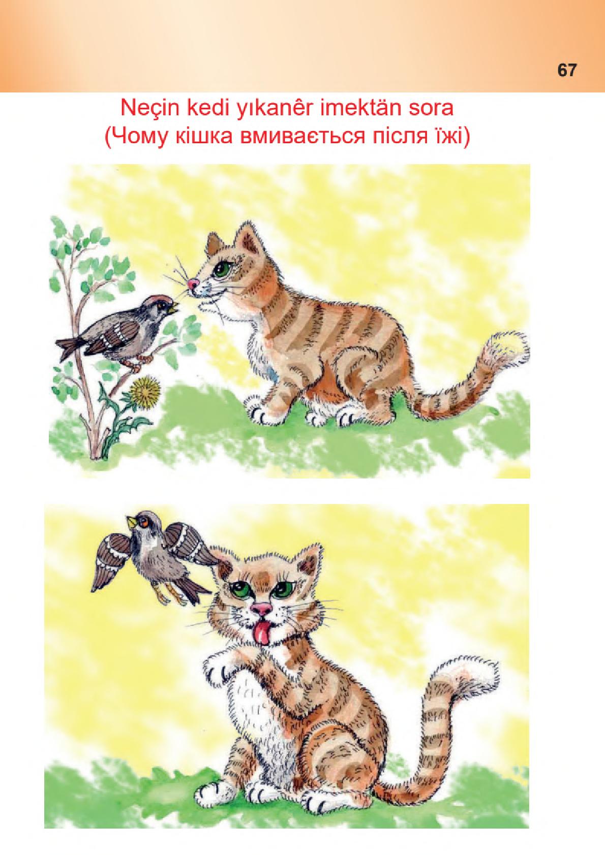 Мініатюра 67