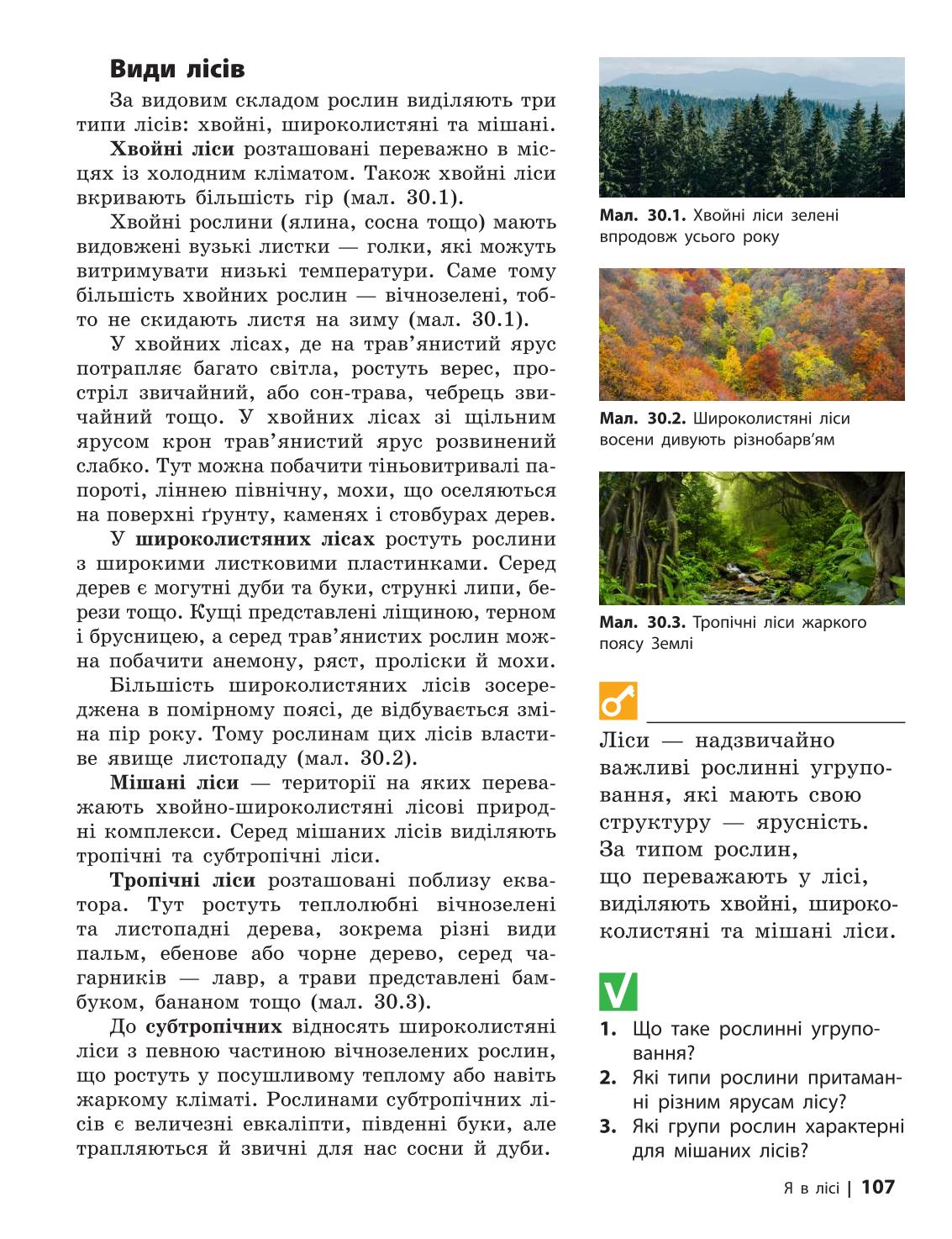 Мініатюра 107
