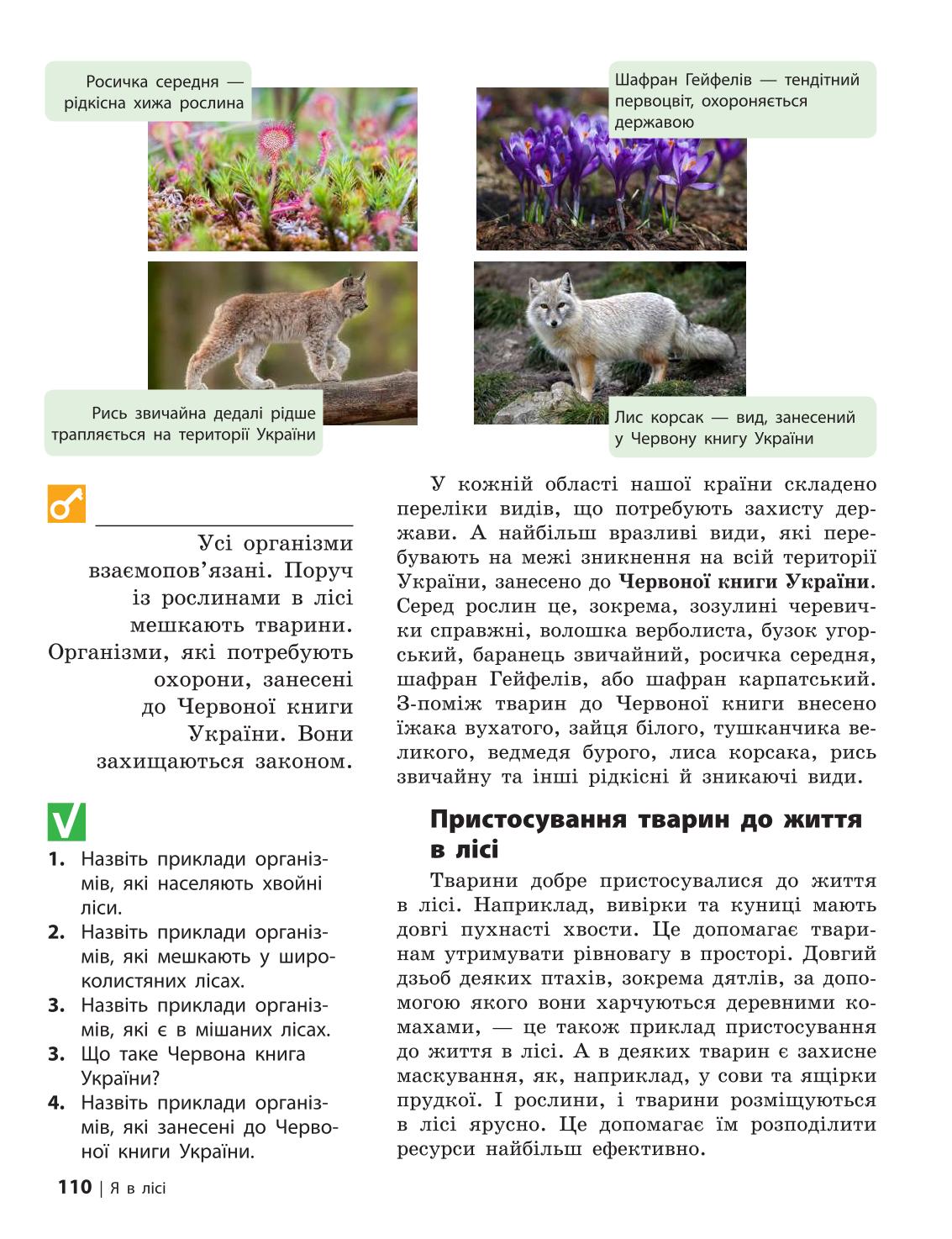 Мініатюра 110