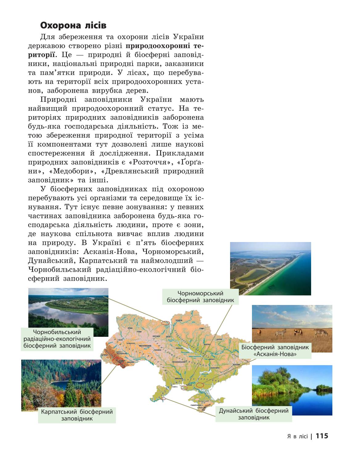 Мініатюра 115