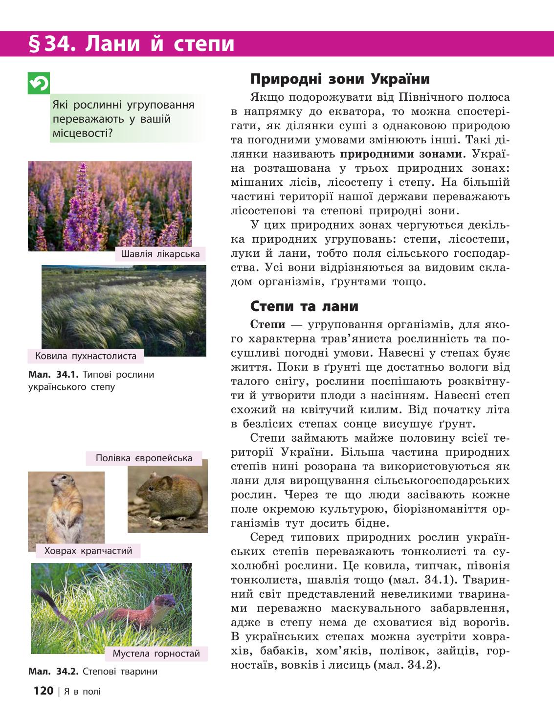 Мініатюра 120