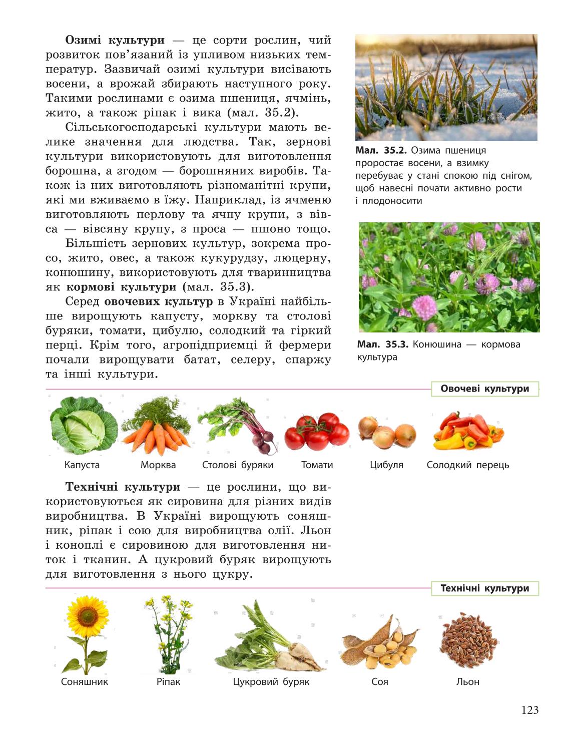 Мініатюра 123