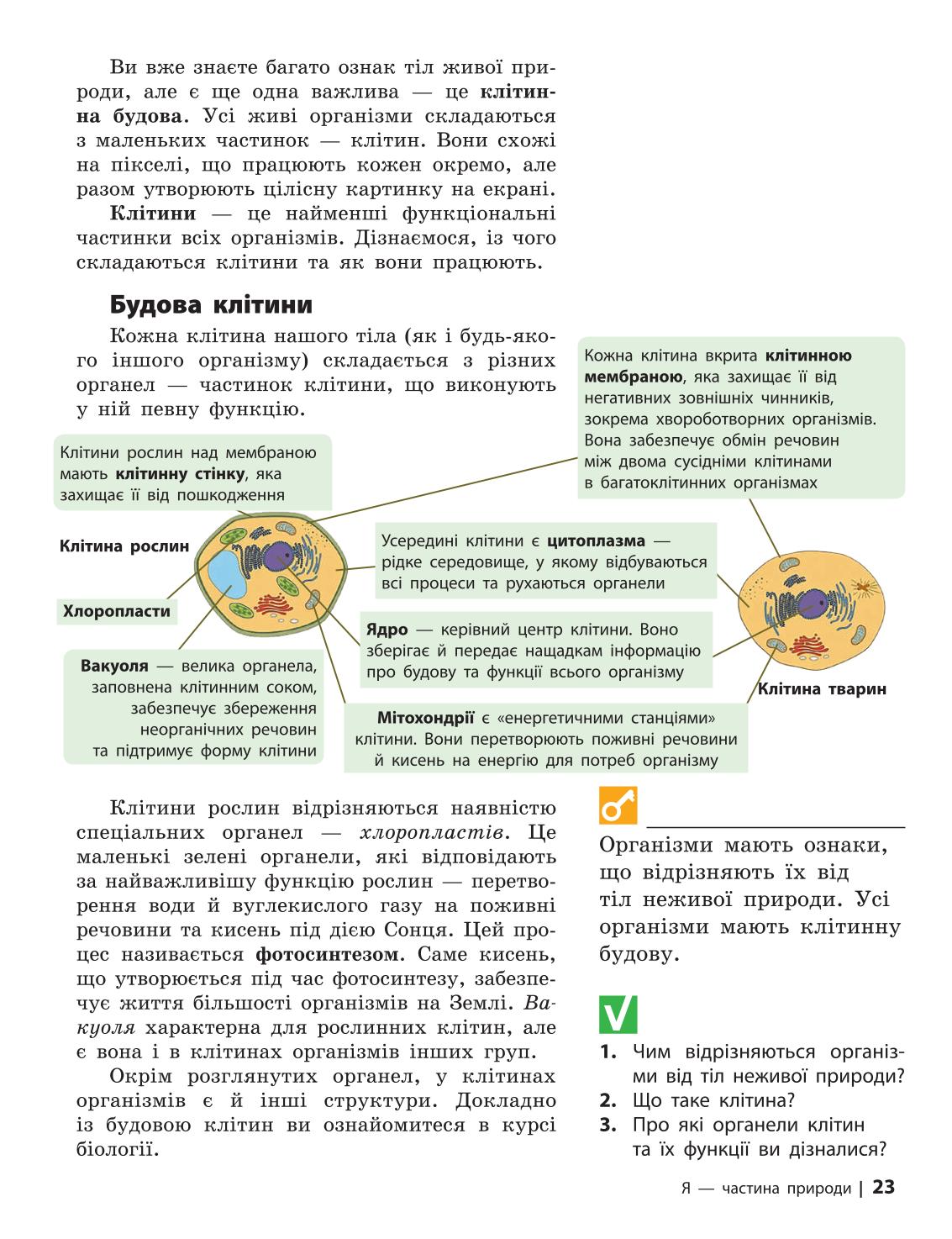 Мініатюра 23