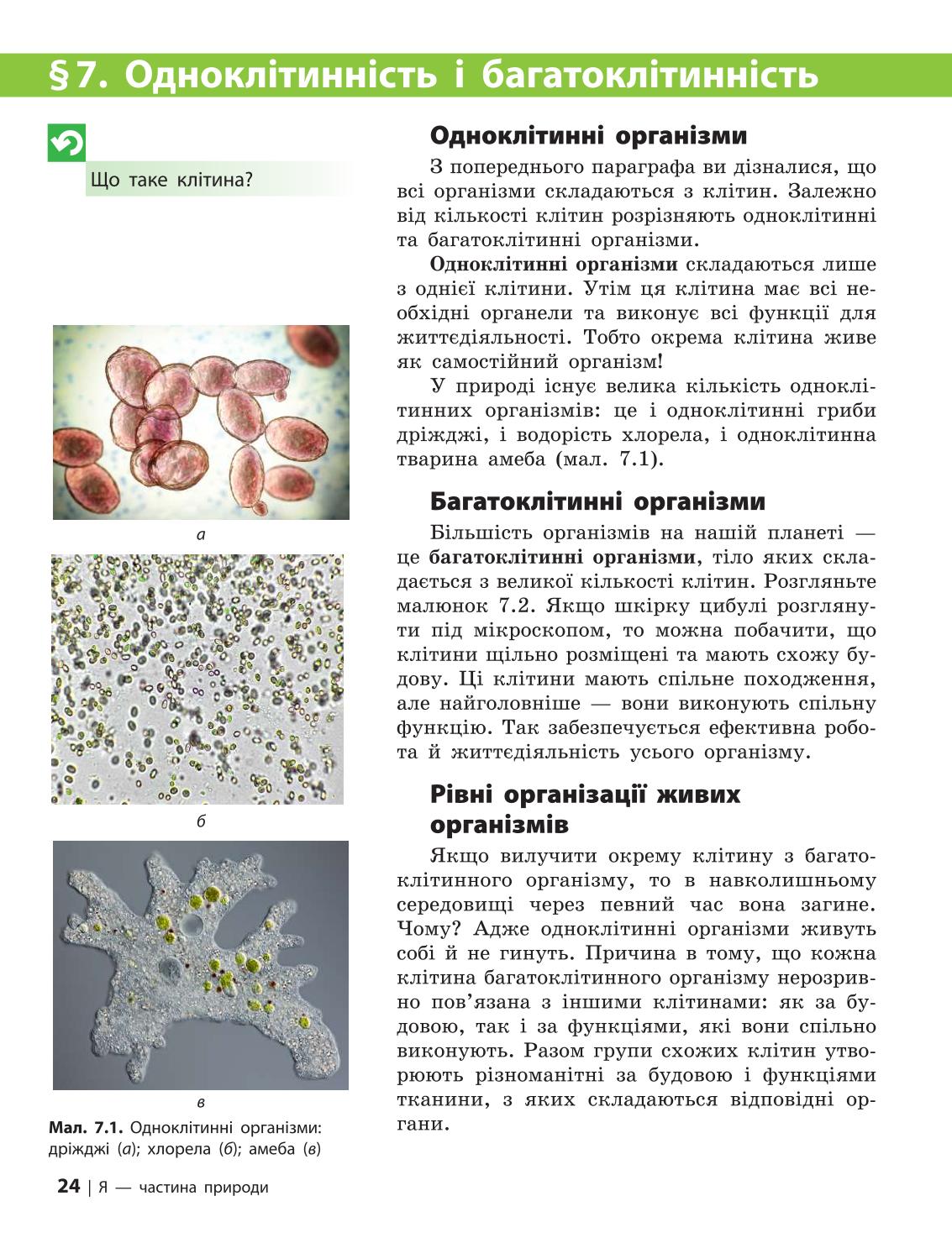 Мініатюра 24