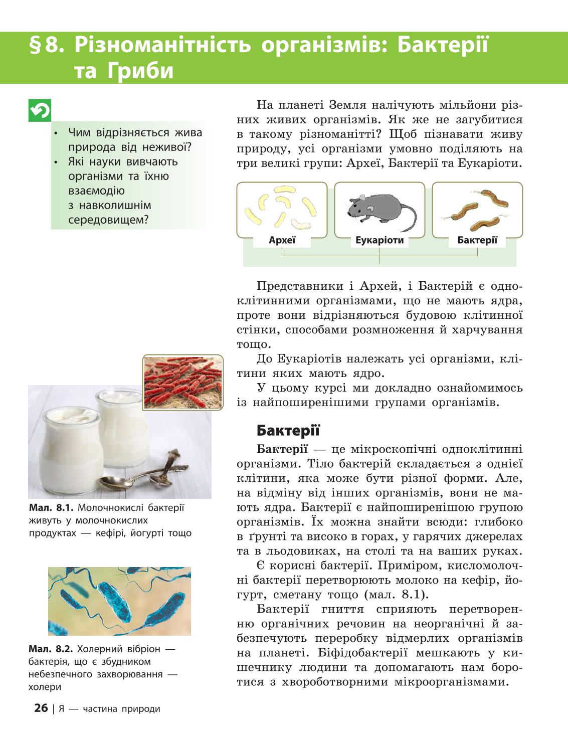 Мініатюра 26