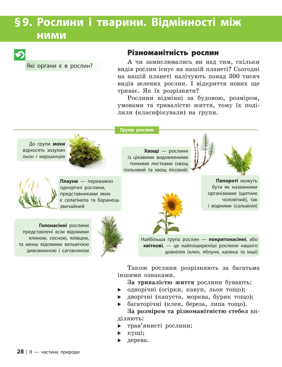 Мініатюра 28