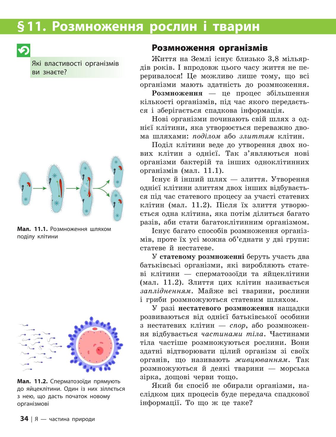 Мініатюра 34