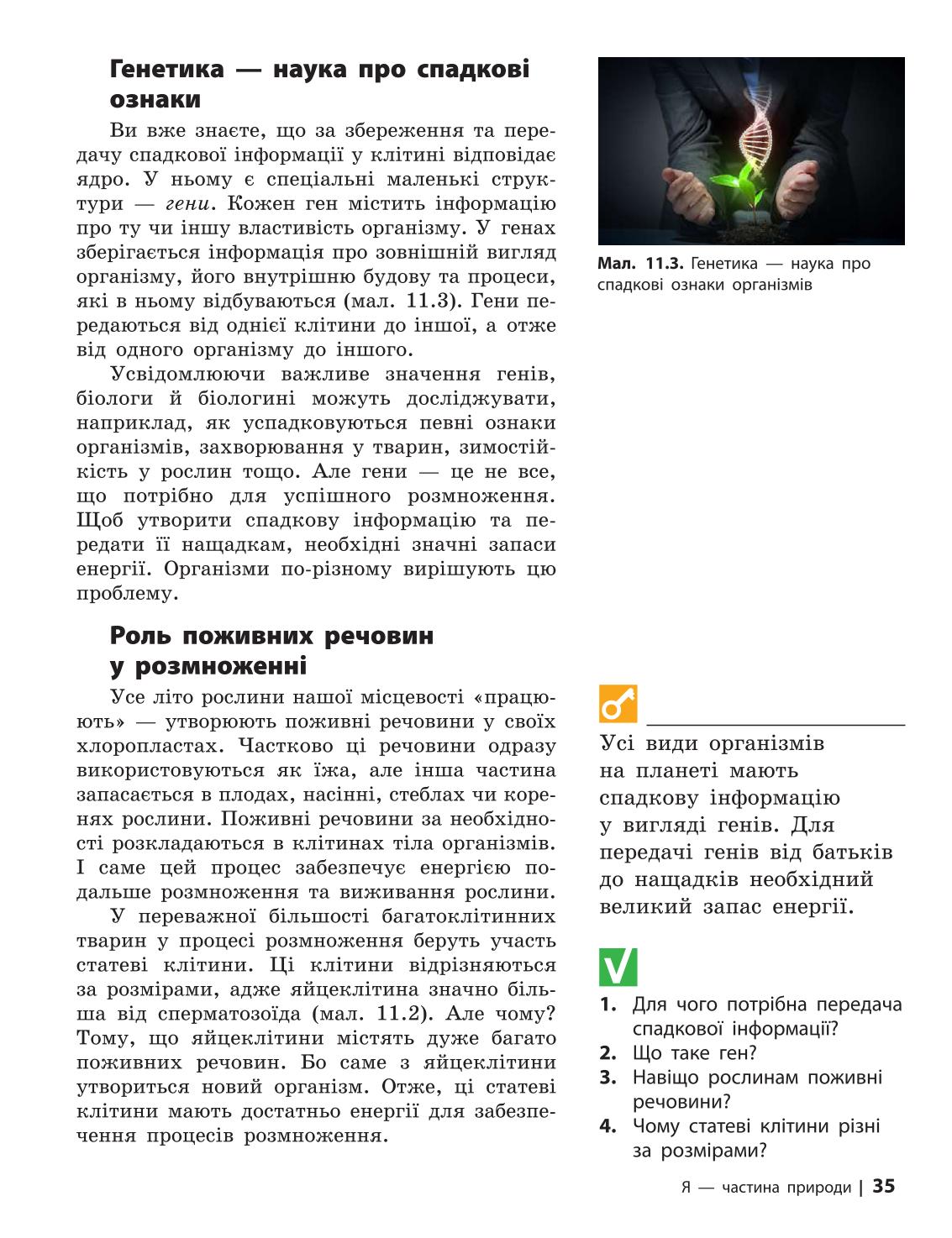 Мініатюра 35