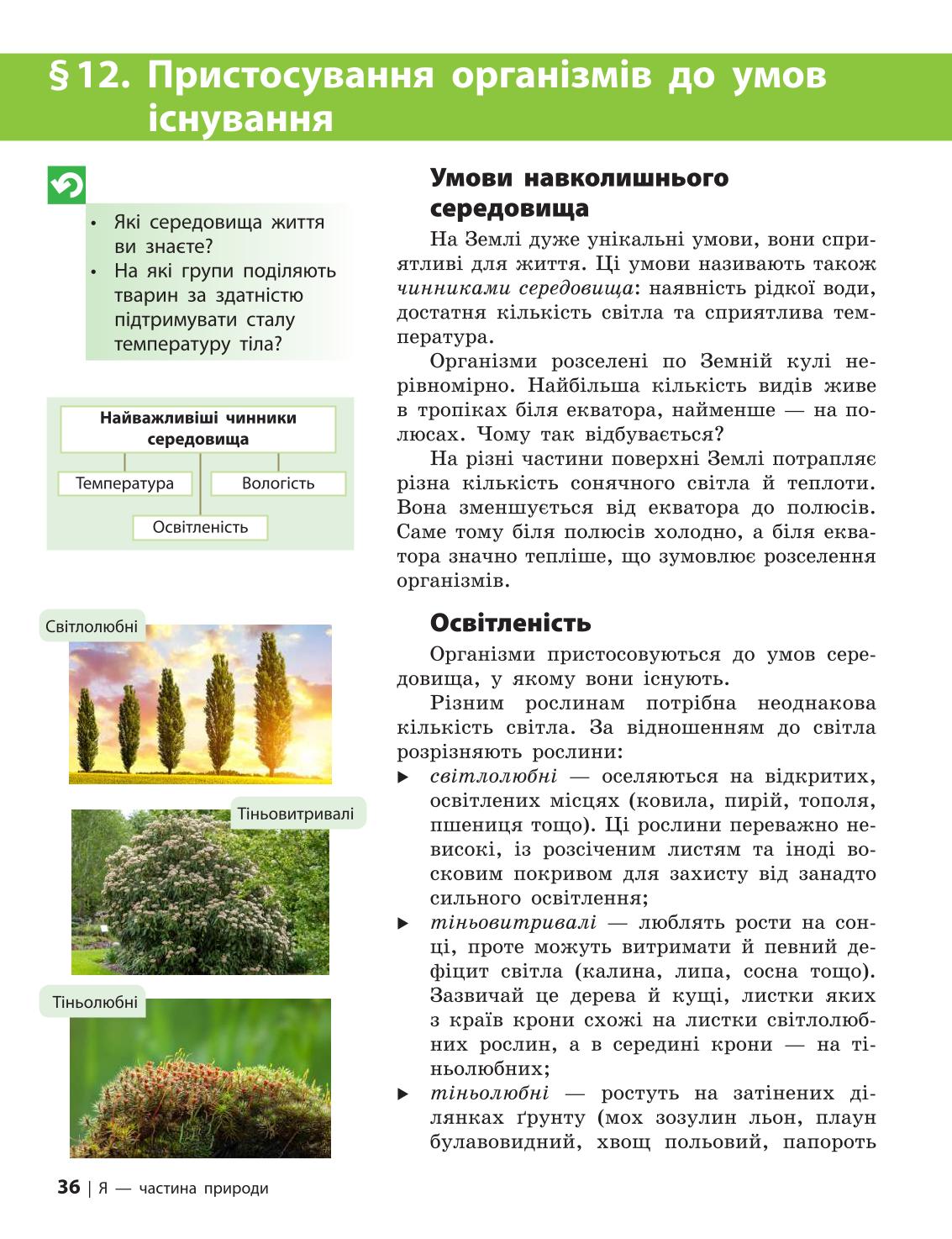 Мініатюра 36
