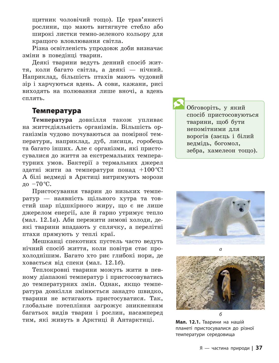 Мініатюра 37