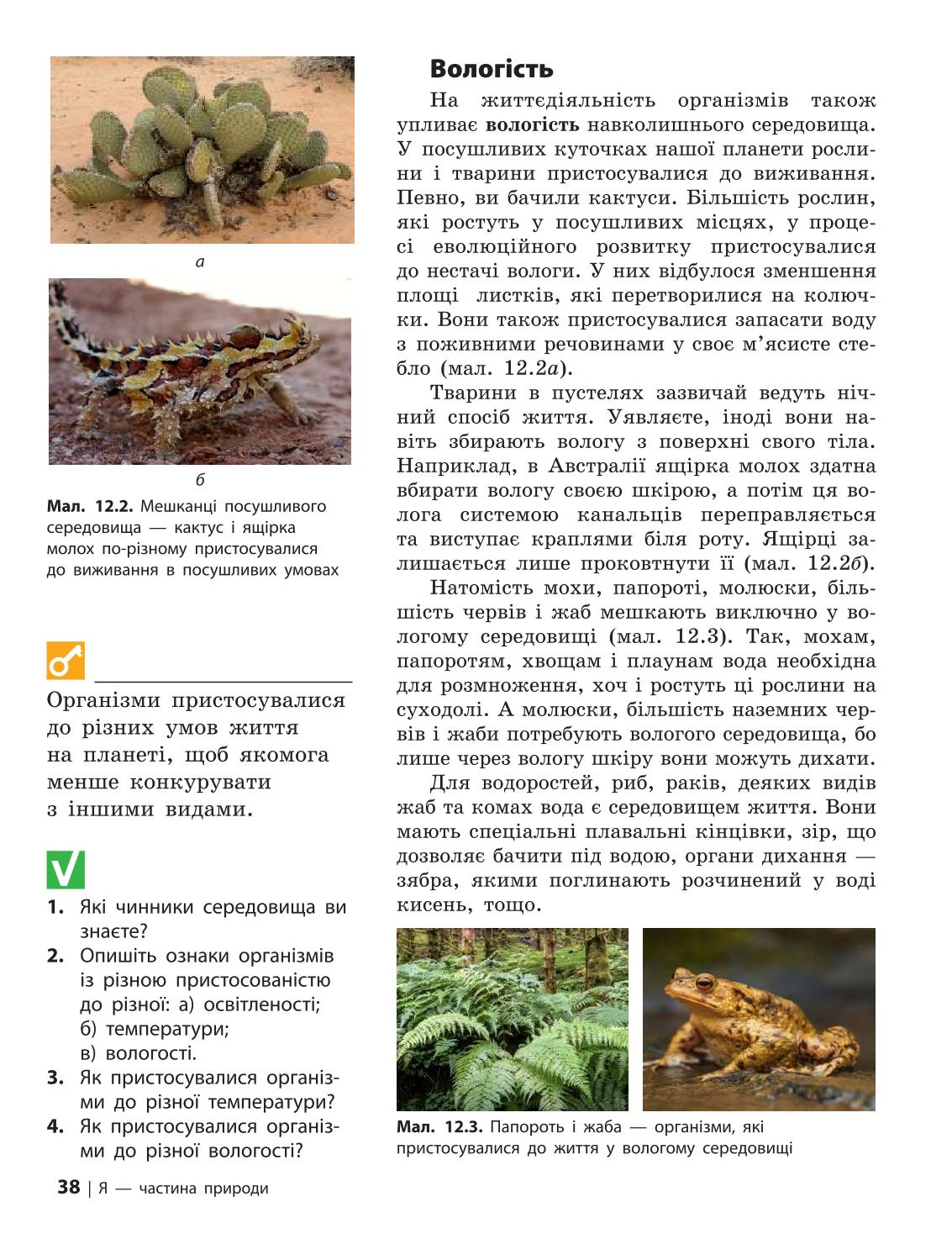 Мініатюра 38