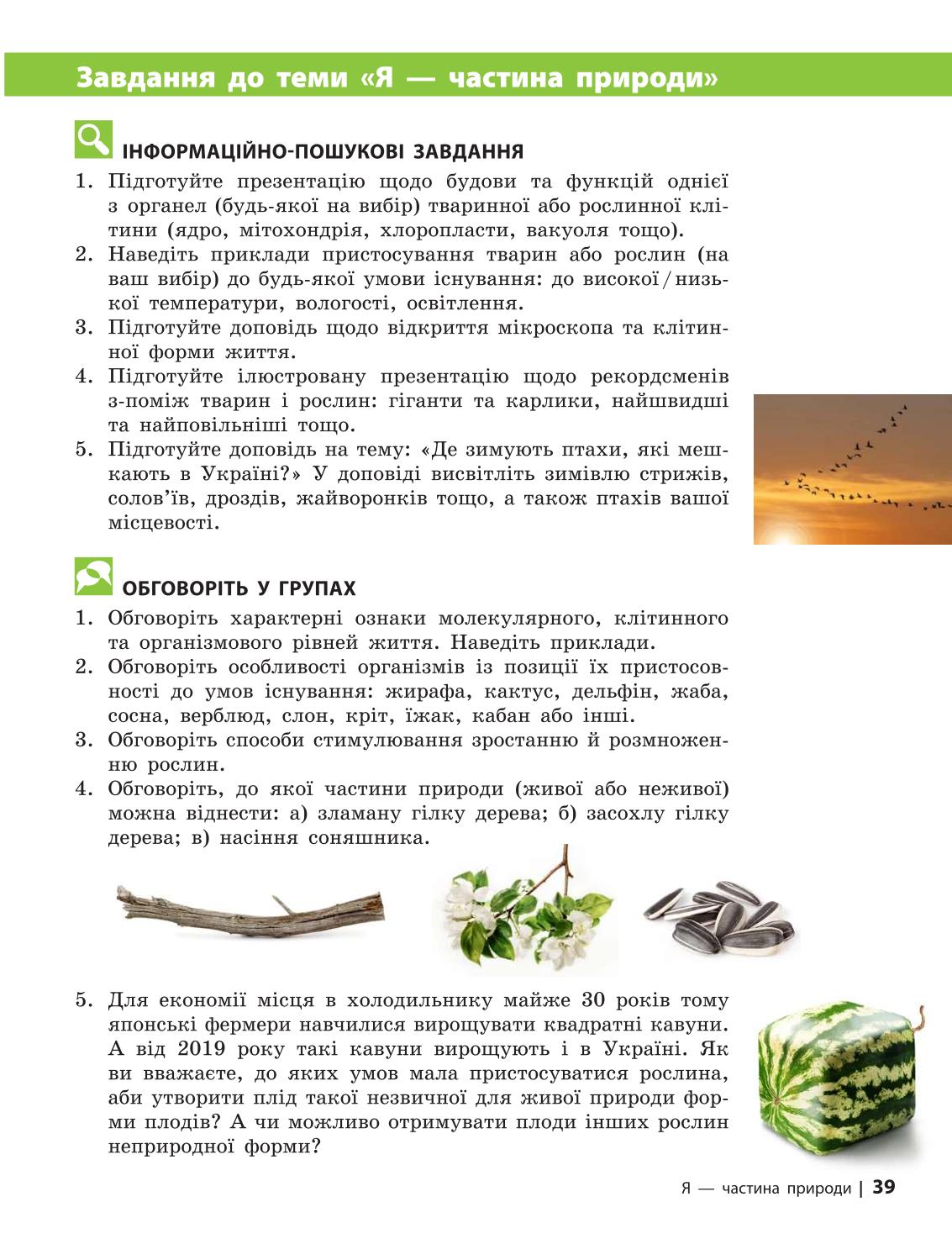 Мініатюра 39