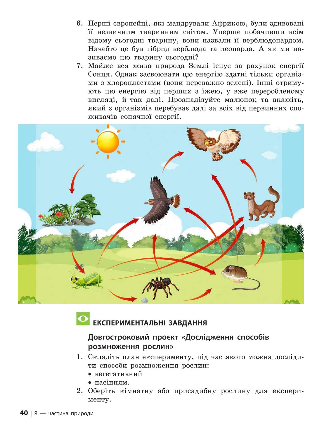 Мініатюра 40