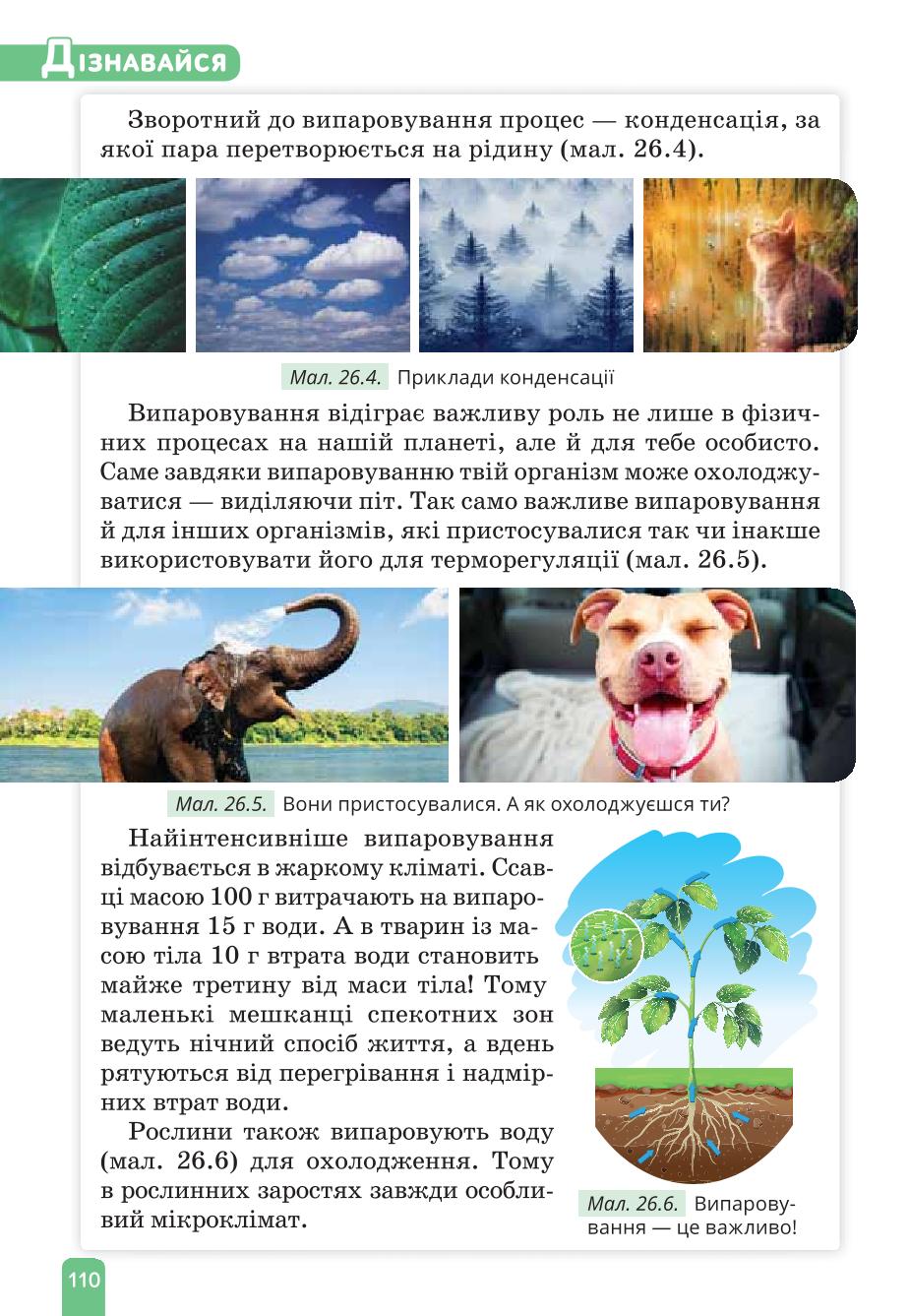 Мініатюра 110