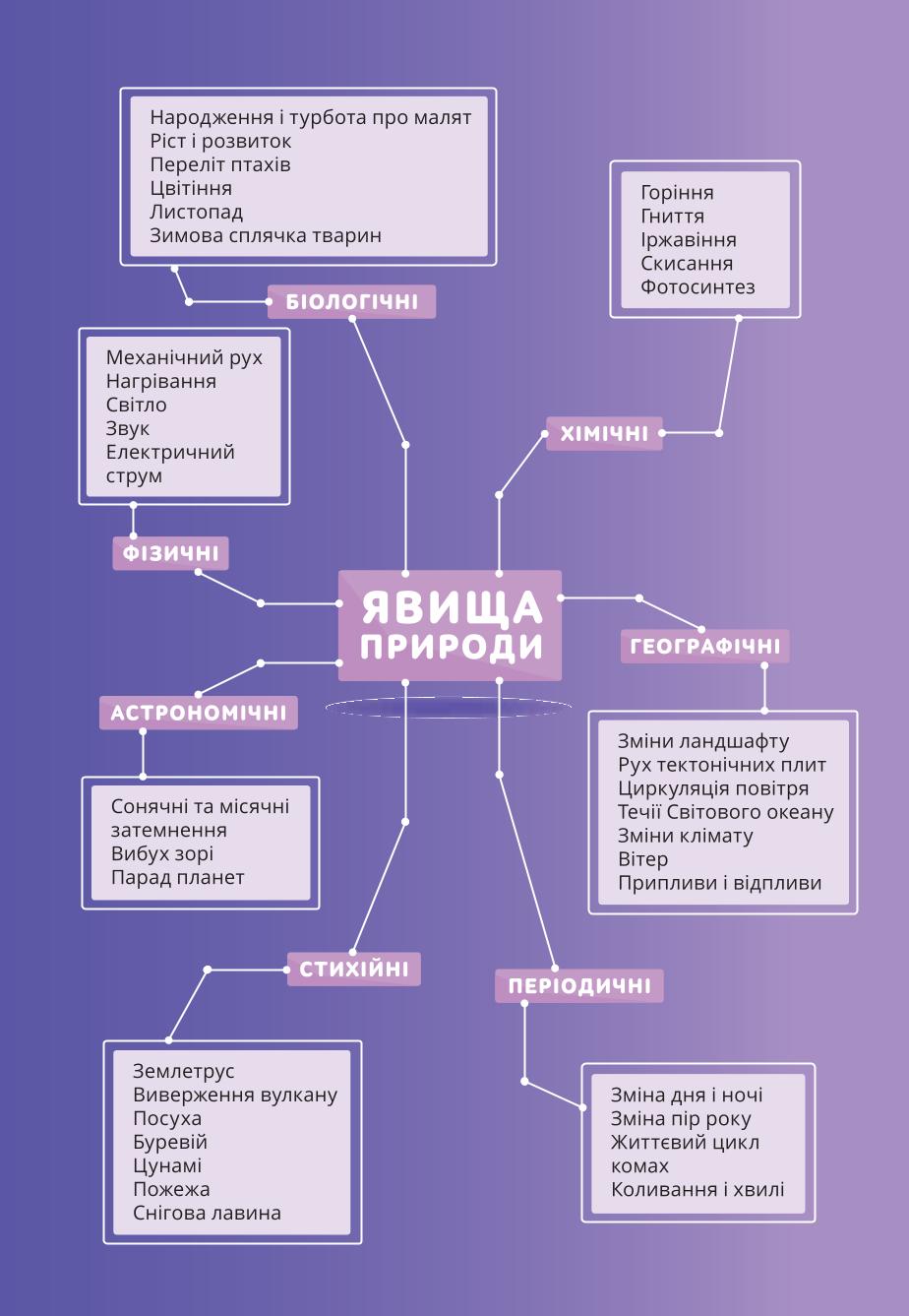 Мініатюра 12