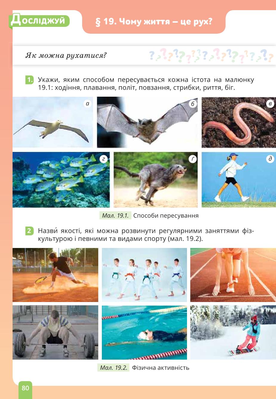 Мініатюра 80