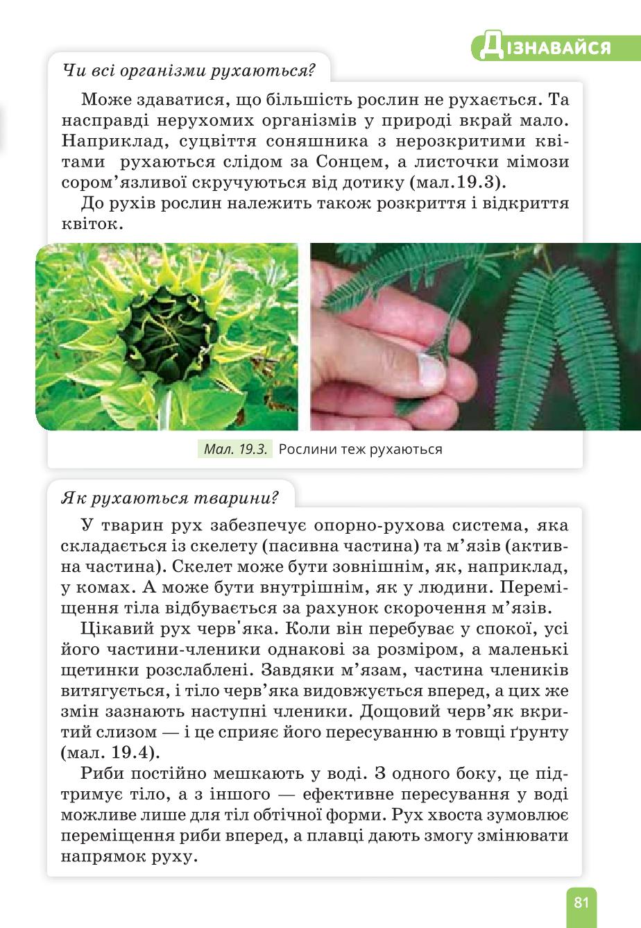 Мініатюра 81