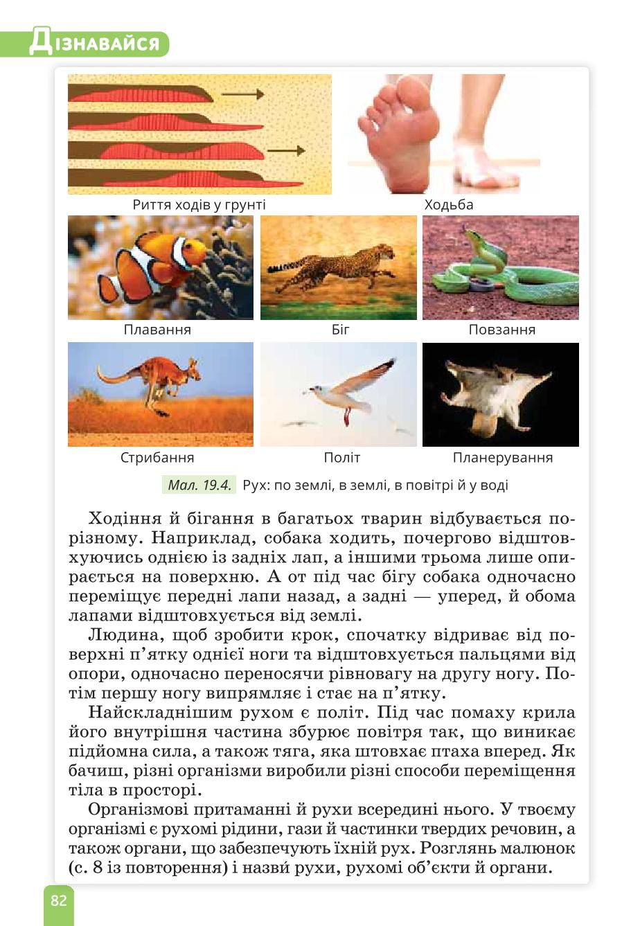Мініатюра 82