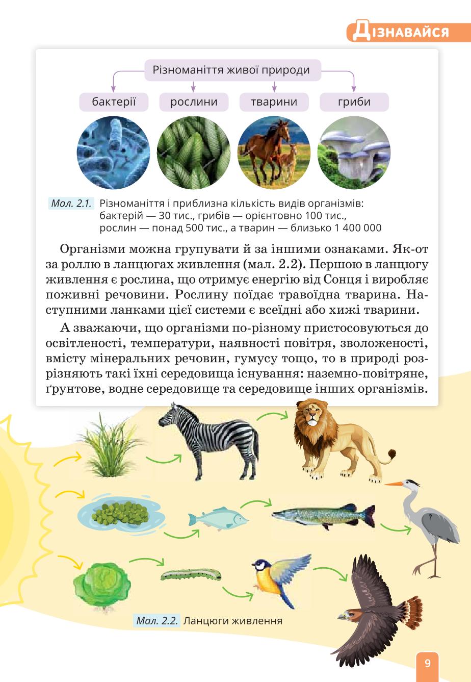 Мініатюра 9