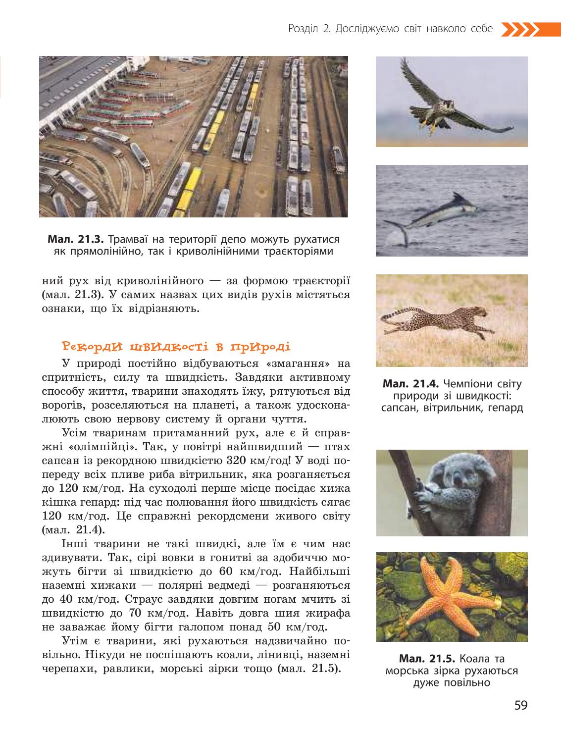 Мініатюра 59