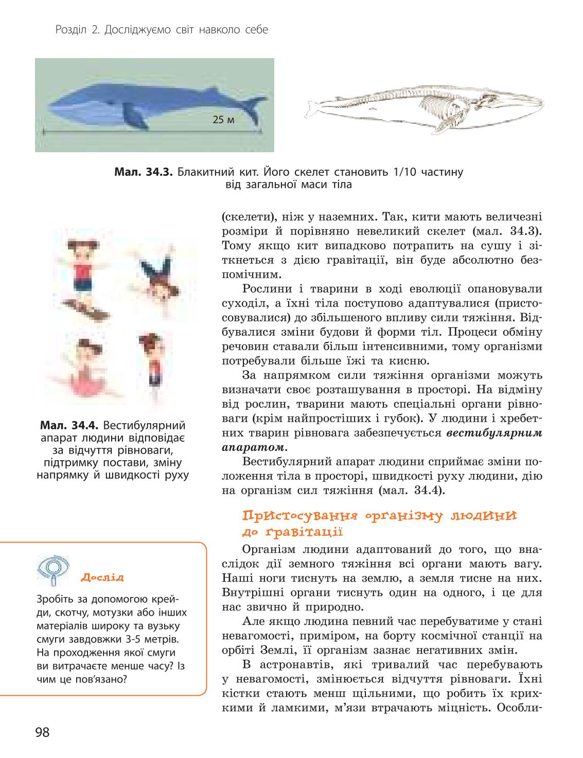 Мініатюра 98