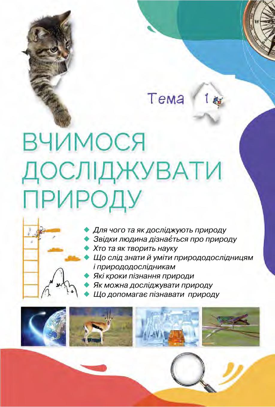 Мініатюра 7