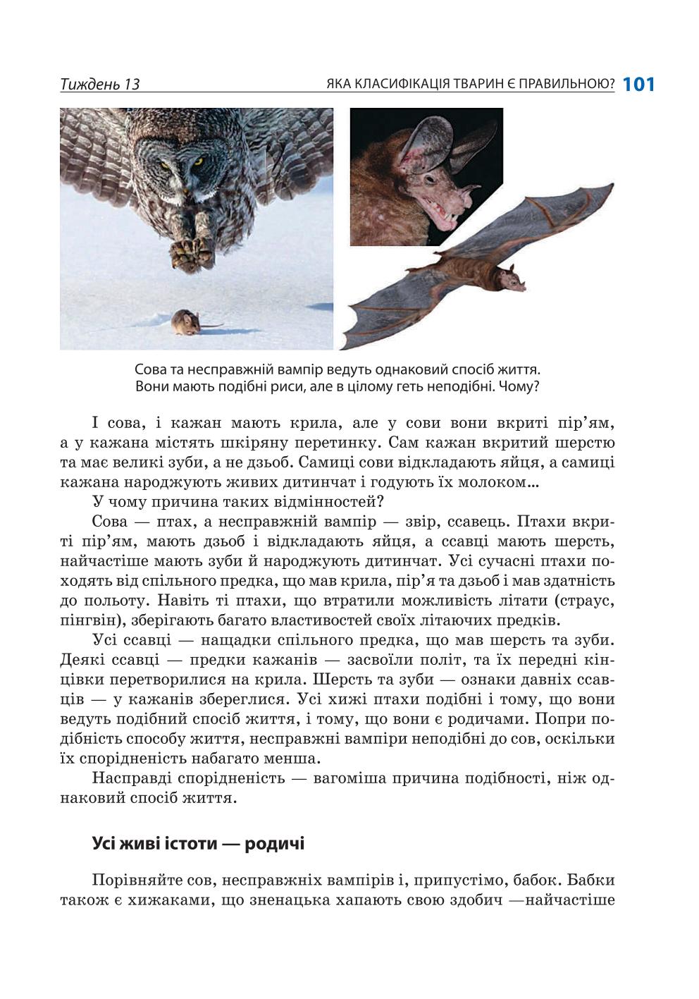 Мініатюра 101
