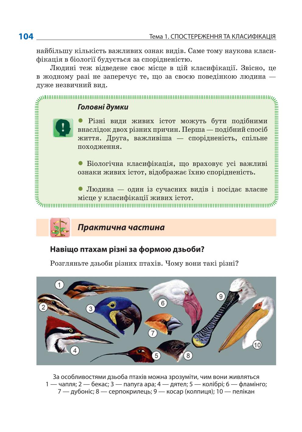 Мініатюра 104