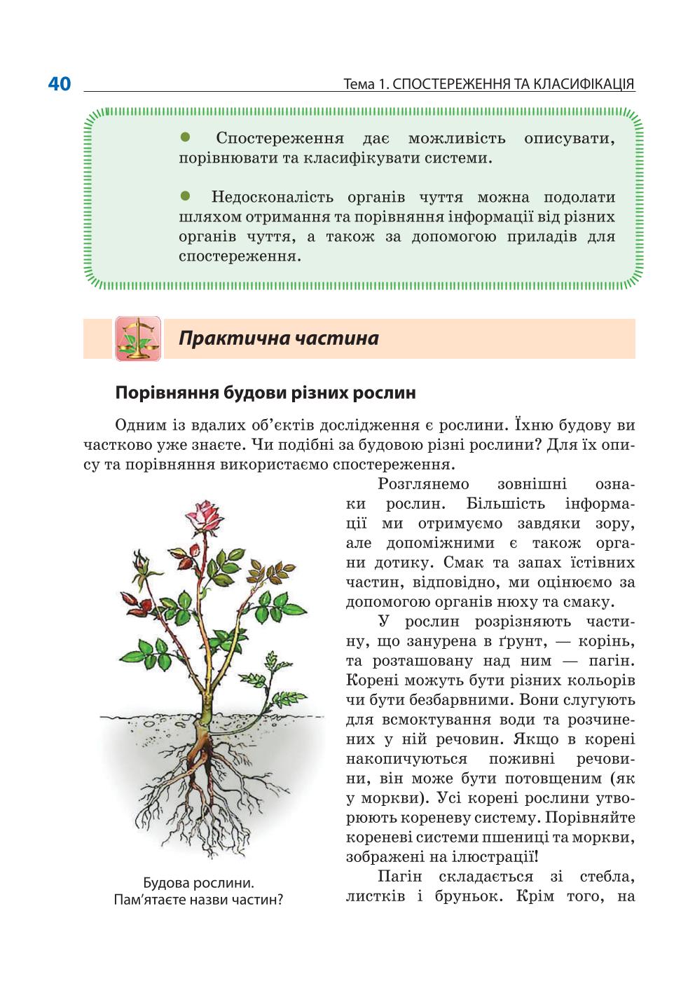 Мініатюра 40