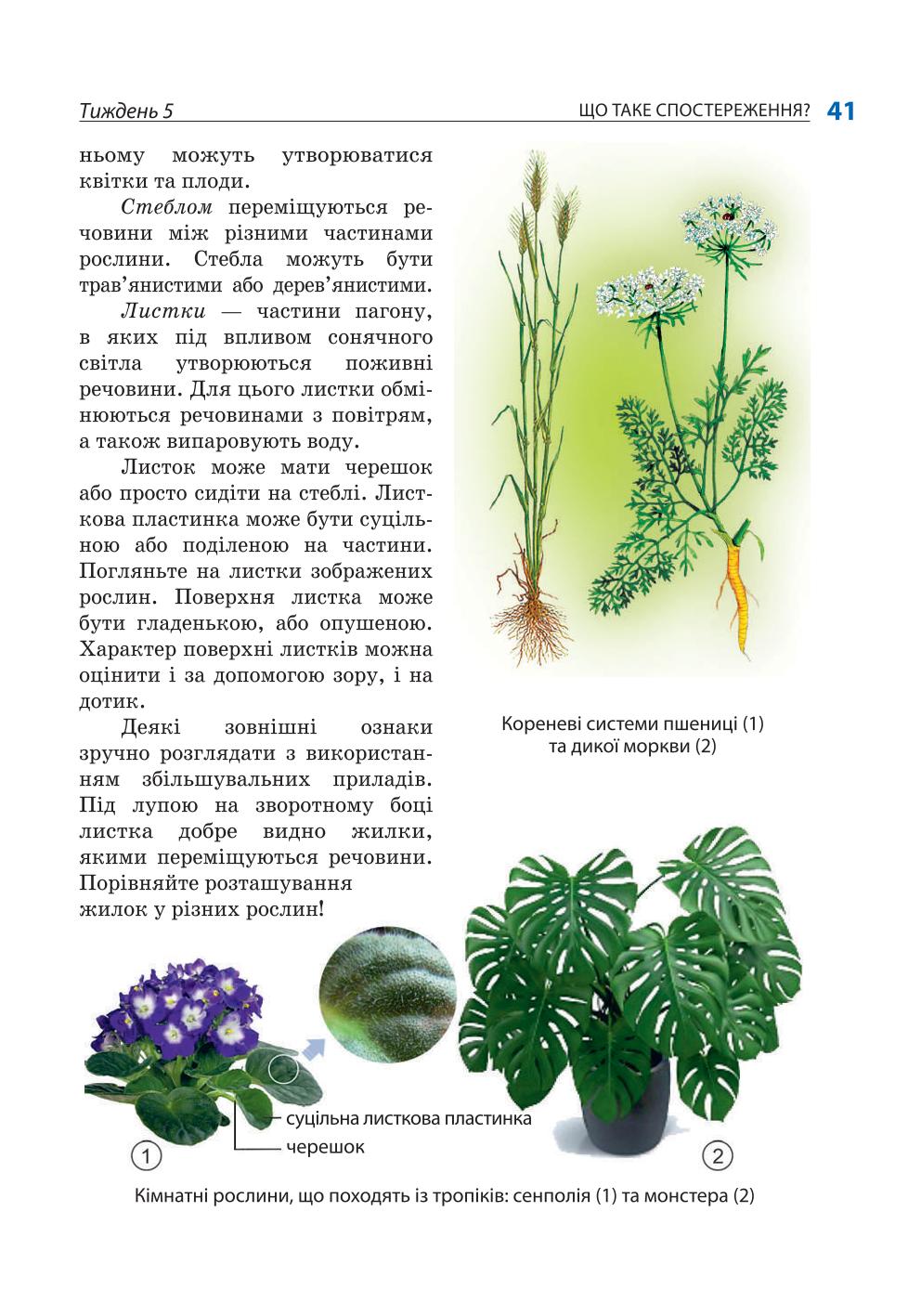 Мініатюра 41