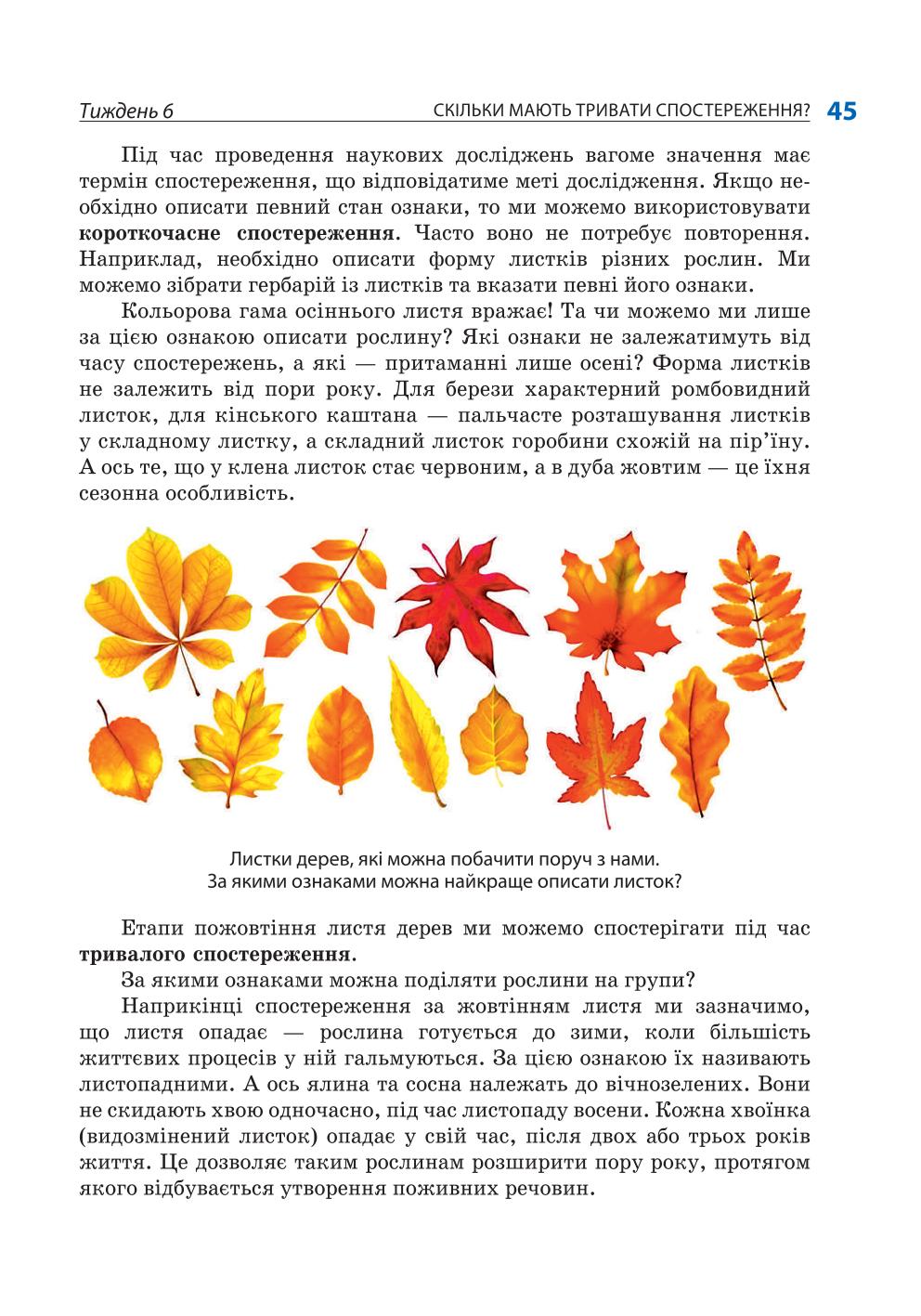 Мініатюра 45