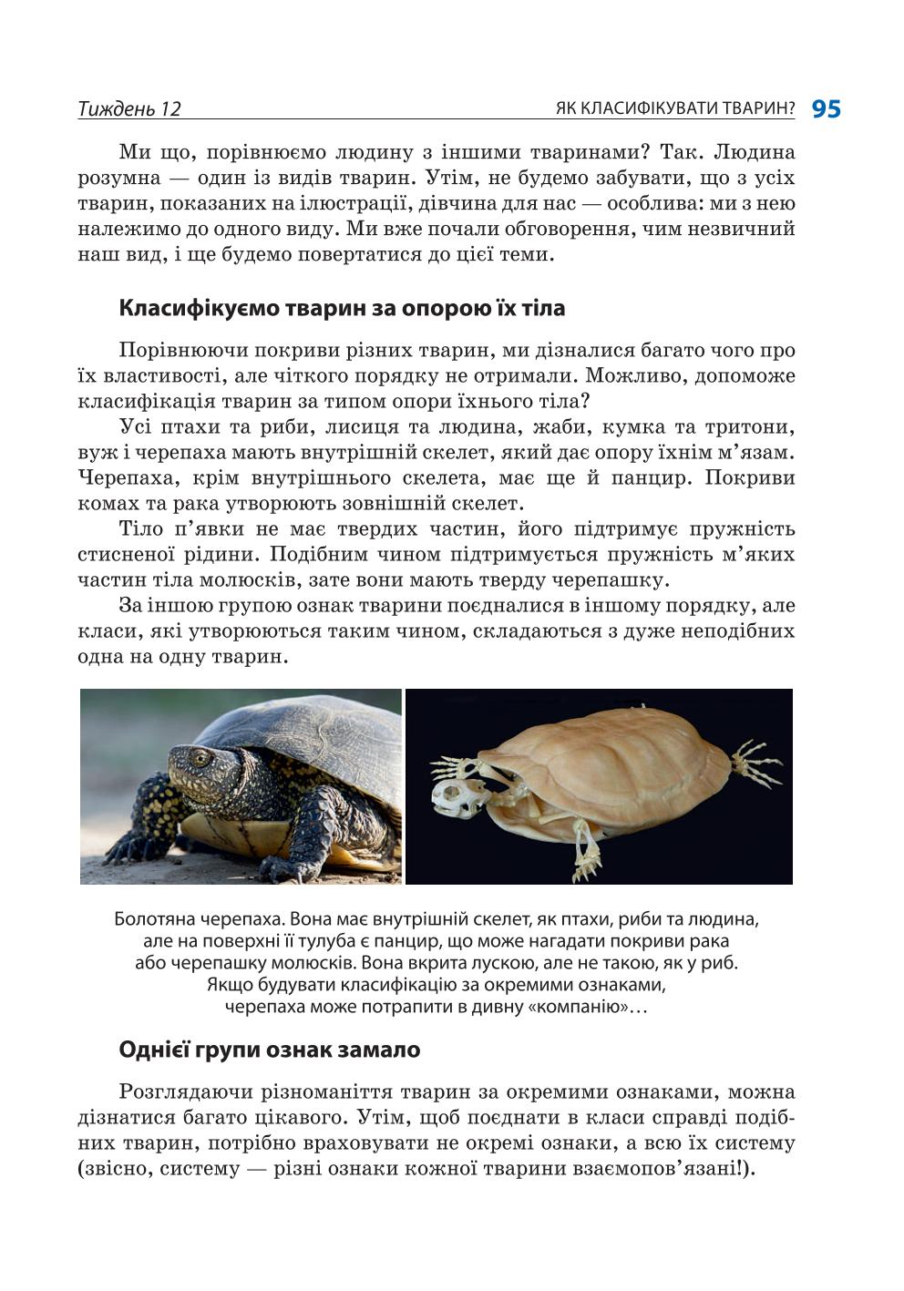 Мініатюра 95