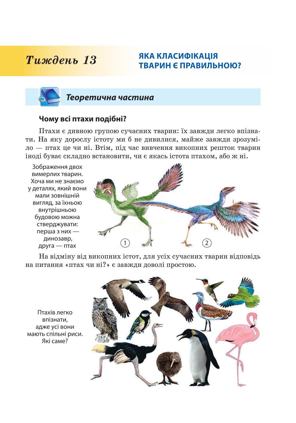 Мініатюра 99