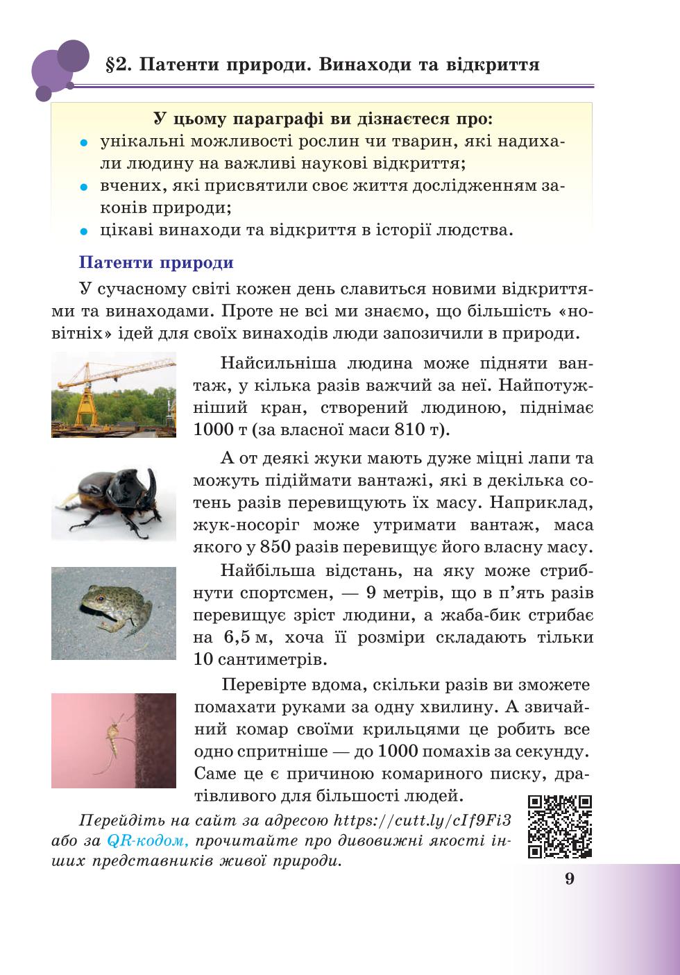 Мініатюра 9