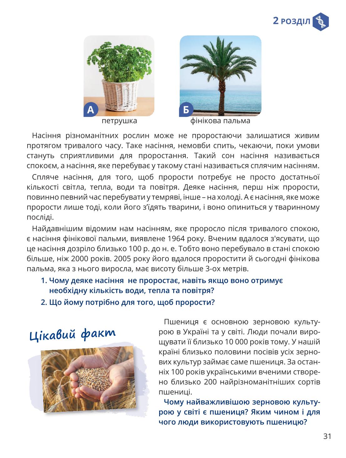 Мініатюра 31