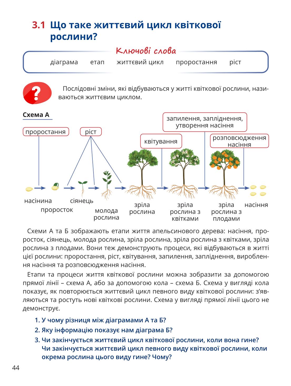 Мініатюра 44