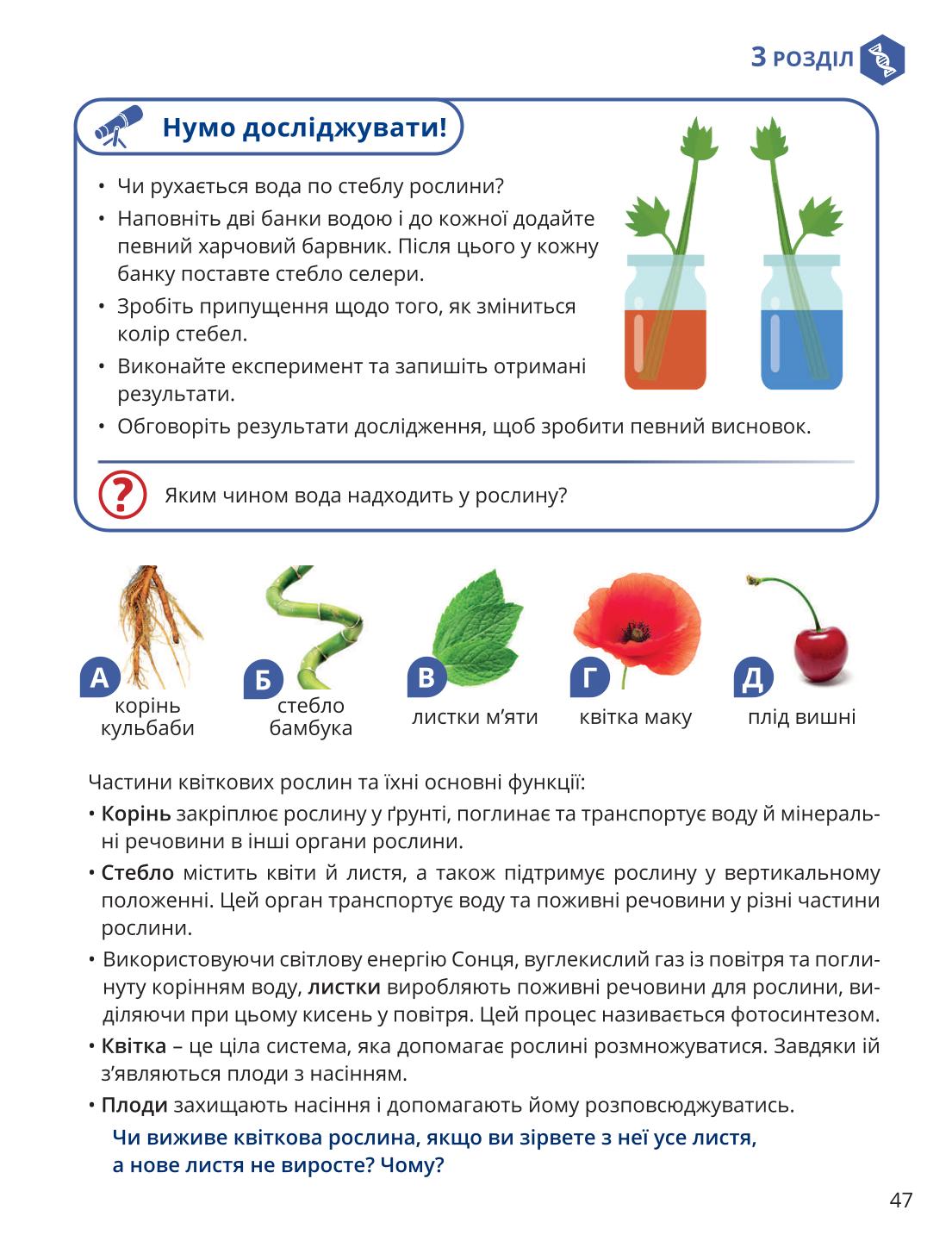 Мініатюра 47