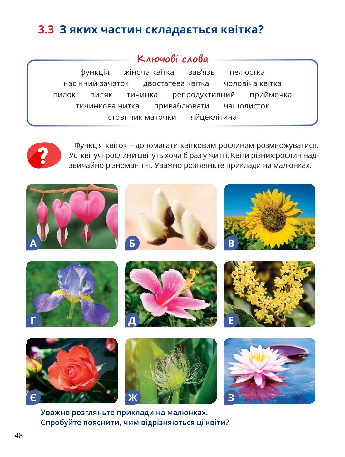 Мініатюра 48