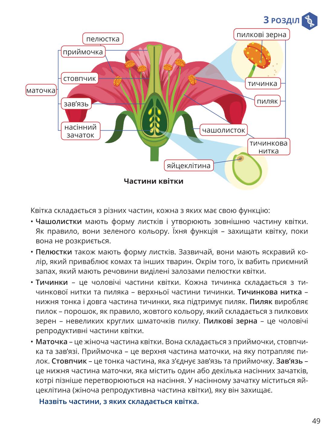 Мініатюра 49