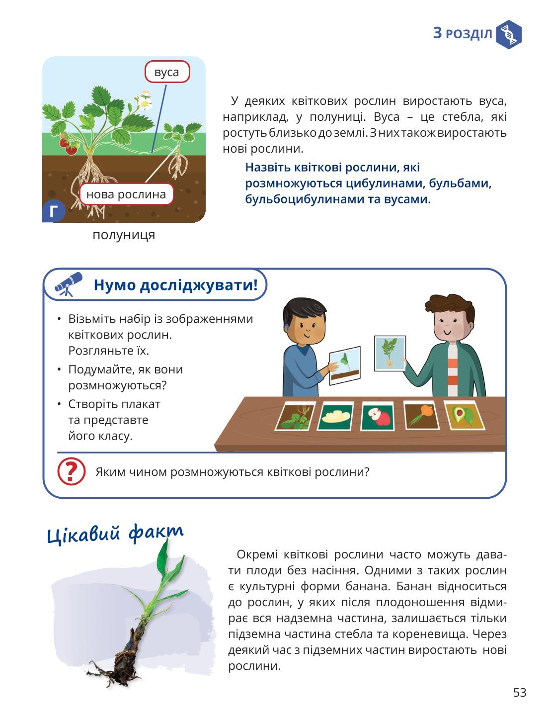 Мініатюра 53