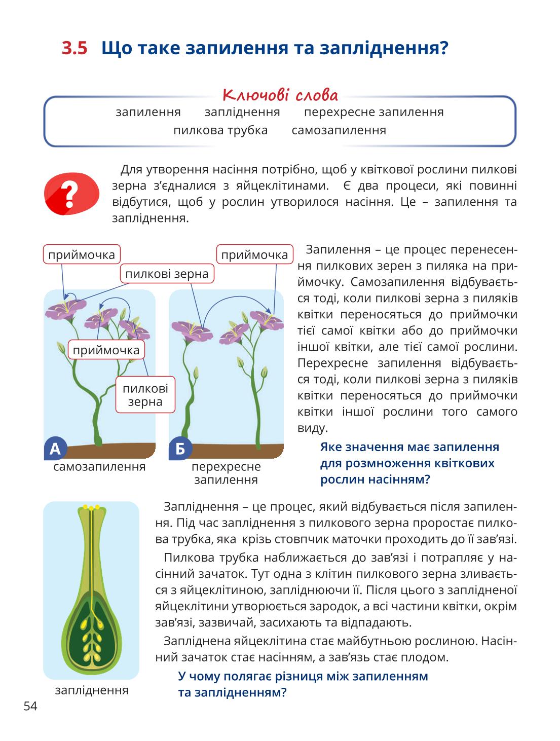 Мініатюра 54