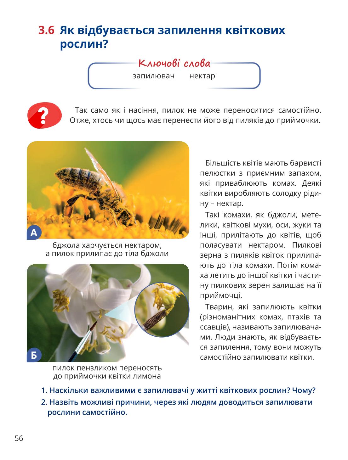 Мініатюра 56
